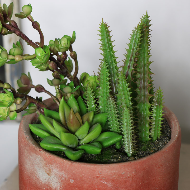 Artificial Potted Cacti