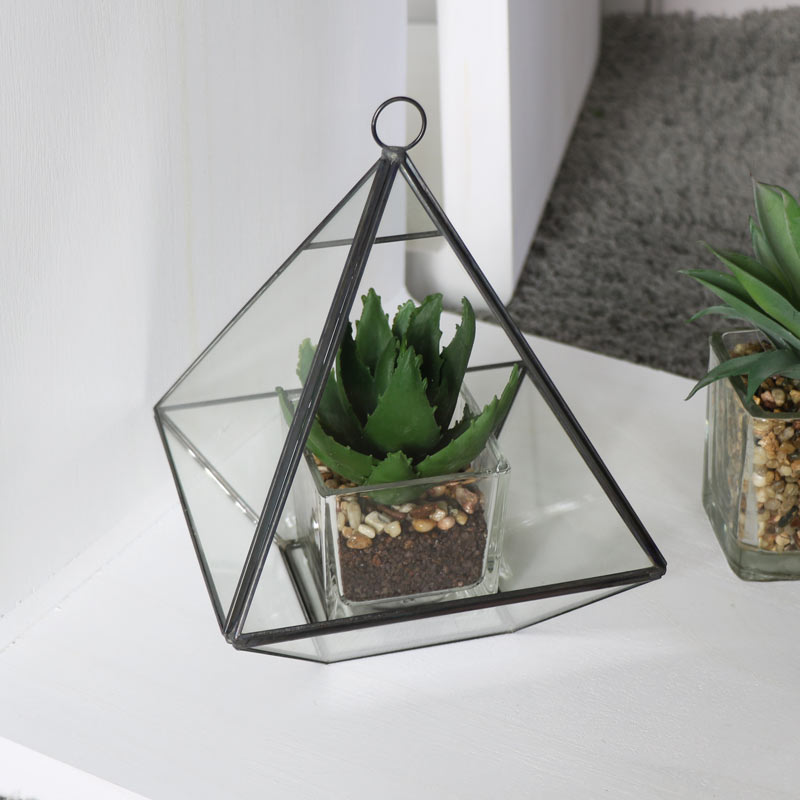 Black Pyramid Style Terrarium