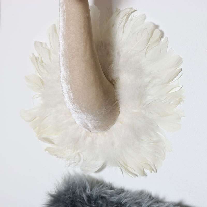 Crowned Pink Fluffy Wall Mounted Swans Head