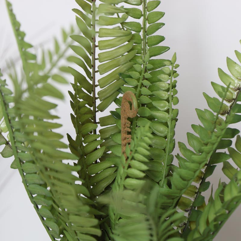 Faux Fern Potted Plant in Terracotta Pot