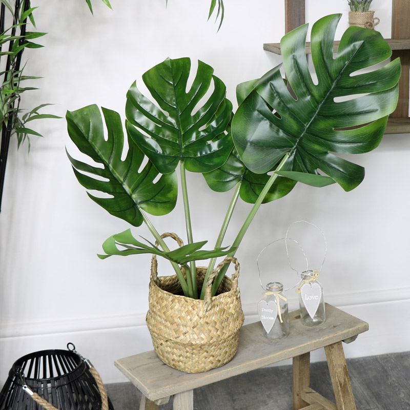 Faux Monstera Houseplant in Rattan Basket