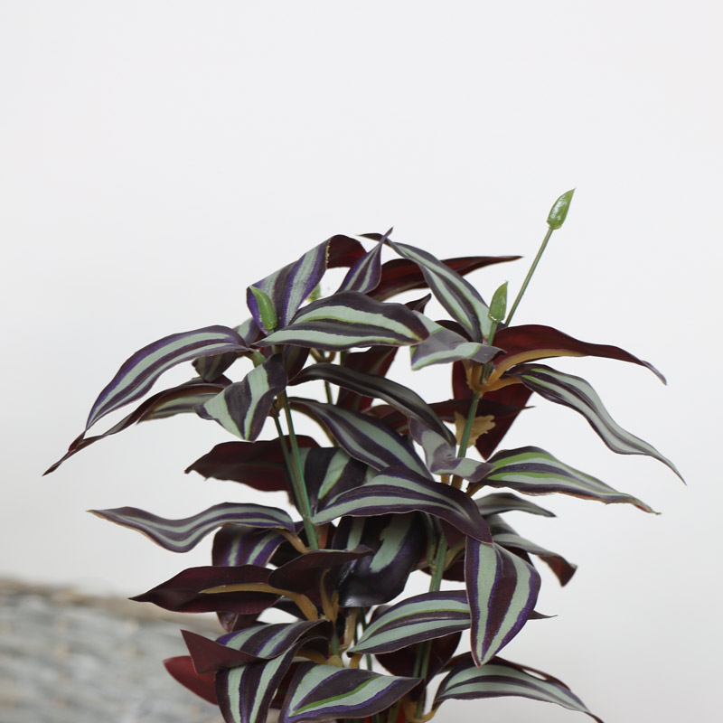 Faux Tradescantia Plant 