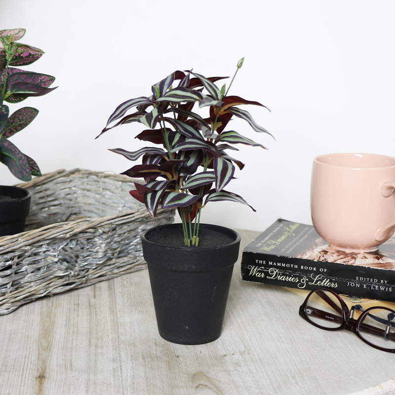 Faux Tradescantia Plant 