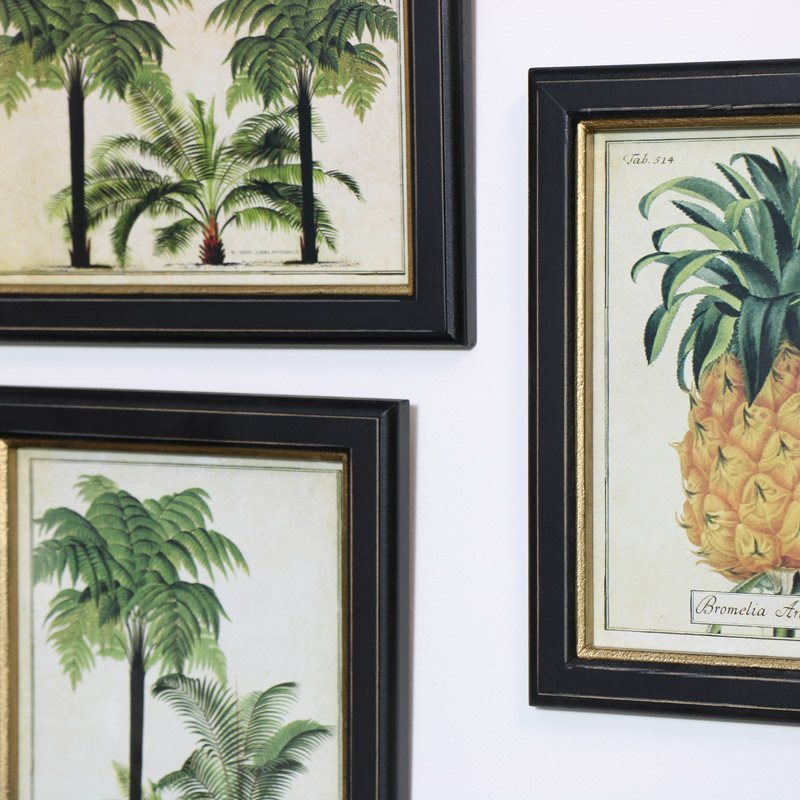 Framed Botanical Wall Art Prints - Botanical Wall Art Sets Framed Botanical Wall Art Prints - Botanical Wall Art Sets