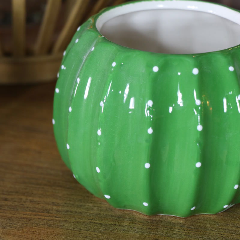 Green Cactus Plant Pot