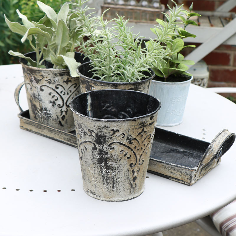 Grey Plant Pots in Tray