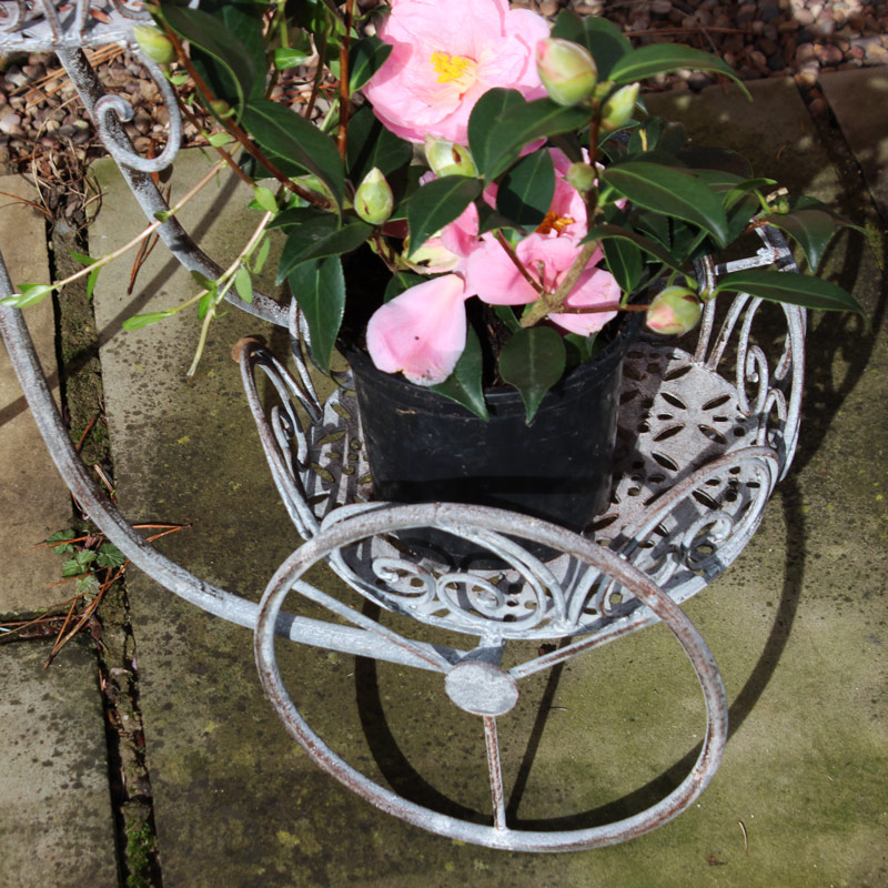 Large Grey Metal Tricycle Garden Plant Pot Holder