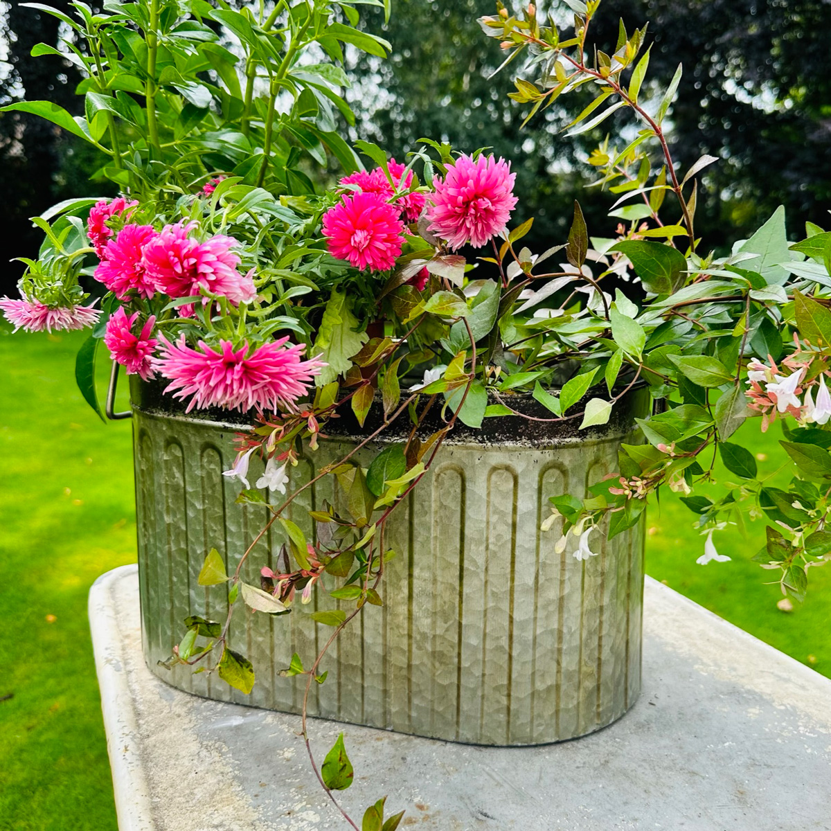 Large Rustic Metal Bucket Planter Pot