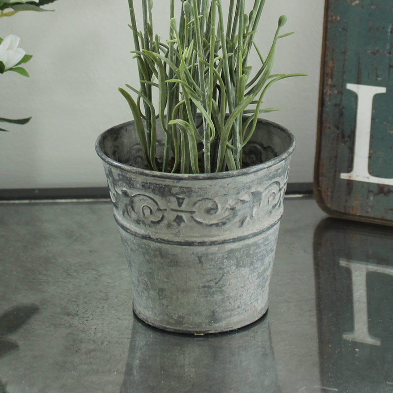 Lavender in Plant Pot