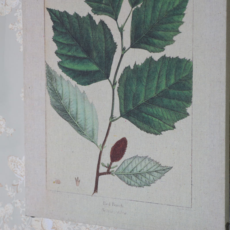 Pair of Botanical Leaf Prints