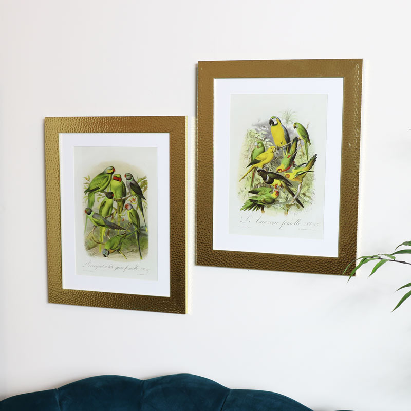 Wall Mounted Gold Framed Tropical Bird Prints