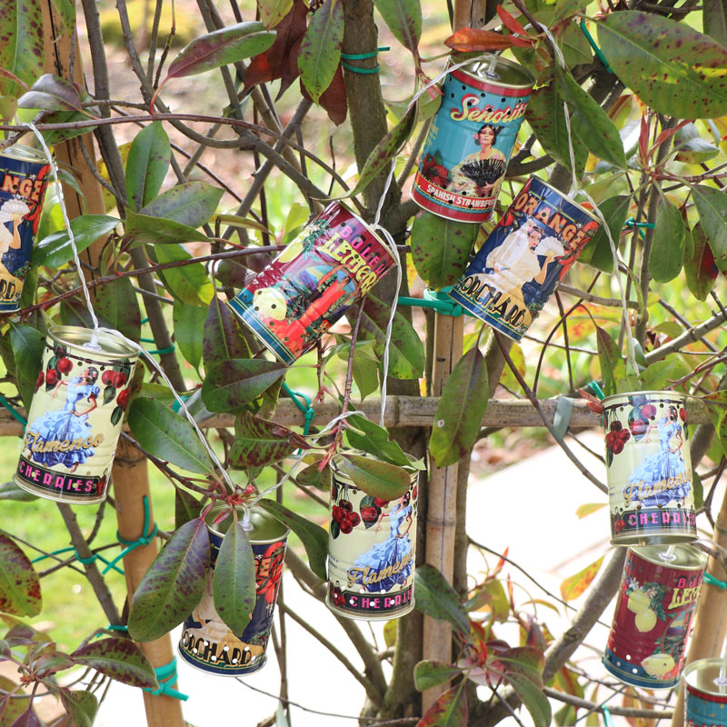 Retro Summer Fruit Tin Can String Fairy Lights