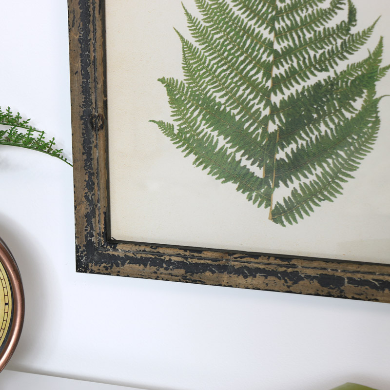 Rustic Fern Framed Print