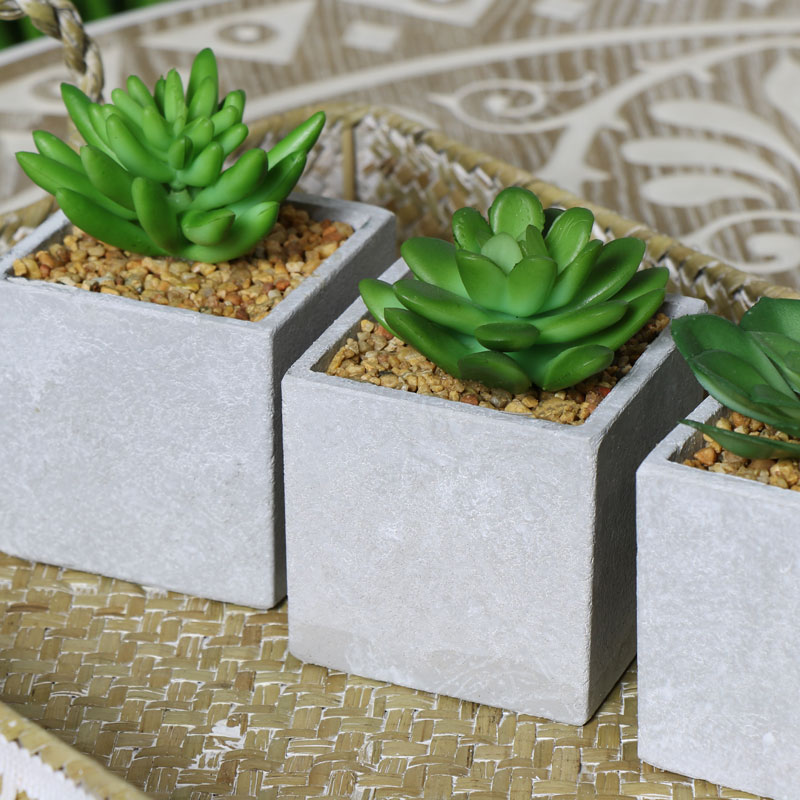 Artificial Succulent Plants set