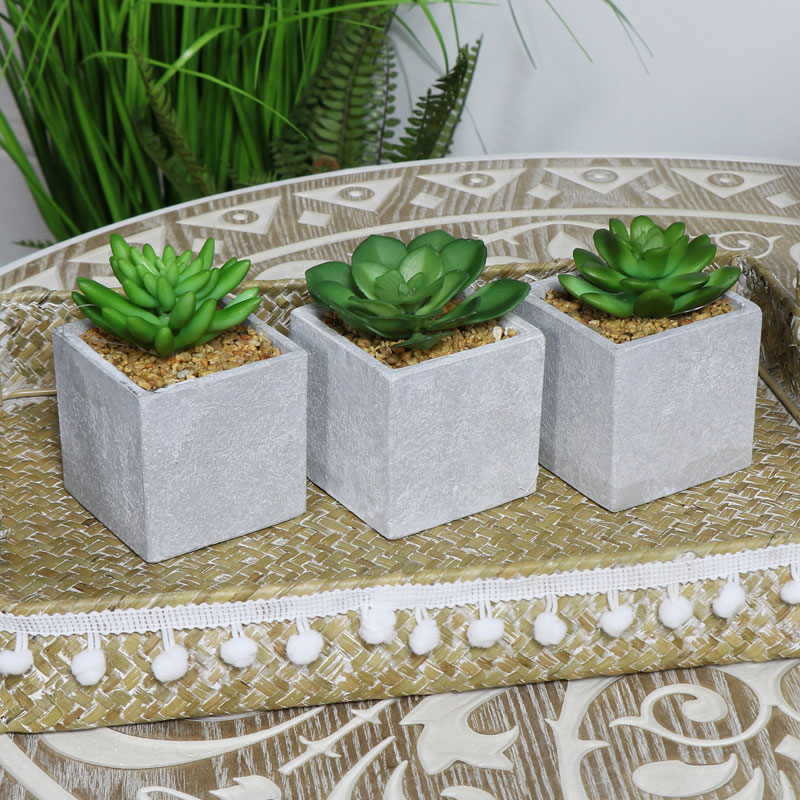 Artificial Succulent Plants set