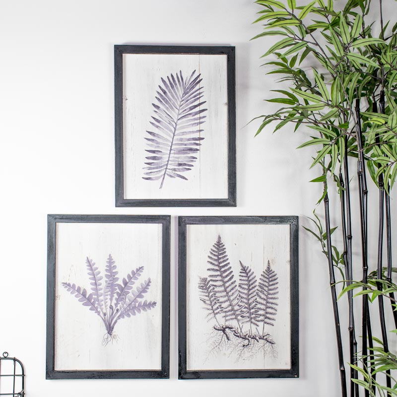 Set of 3 Botanical Fern Wall Prints