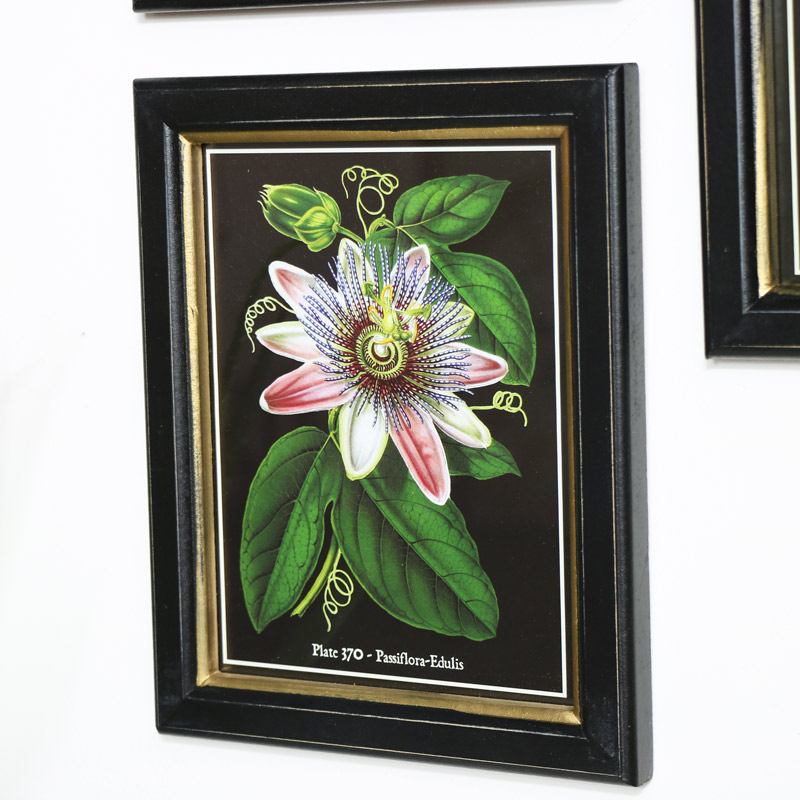 Set Of 3 Botanical Wall Prints - Botanical Wall Art Set Of 3 Set Of 3 Botanical Wall Prints - Botanical Wall Art Set Of 3