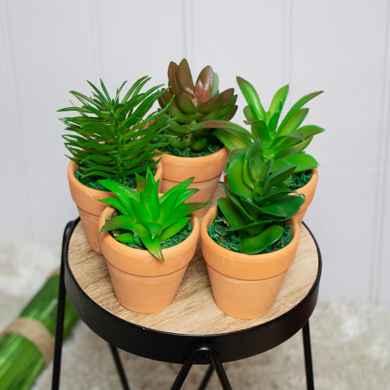 Set of 5 Faux Succulent Plants in Pots