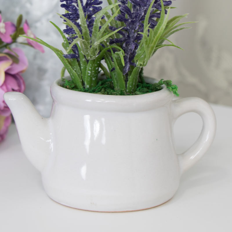 Small Lavender Pot Plant in White Ceramic Teapot