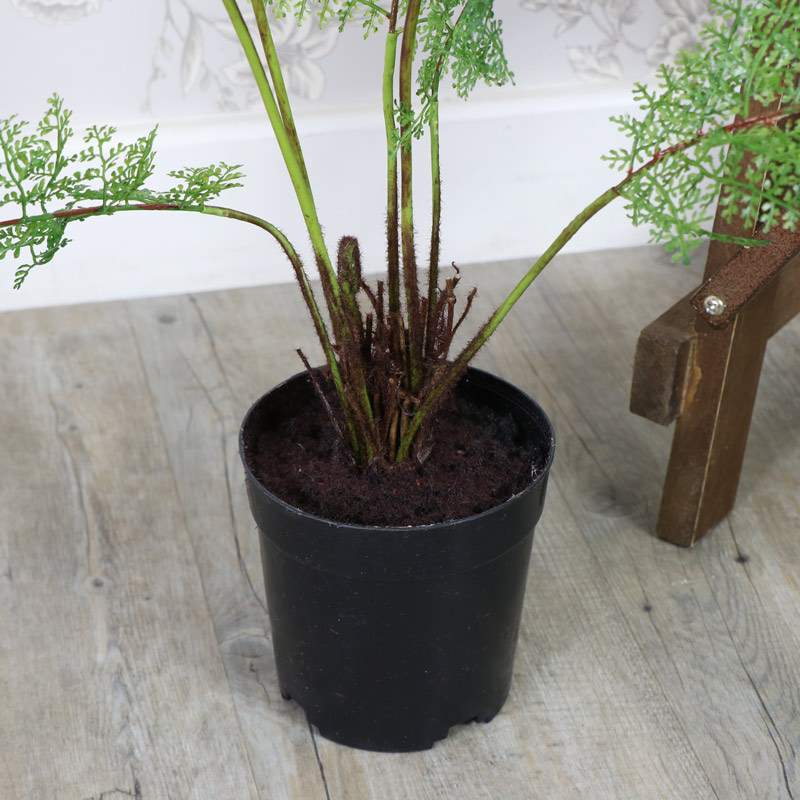 Tall Artificial Fern Bush in Black Plant Pot