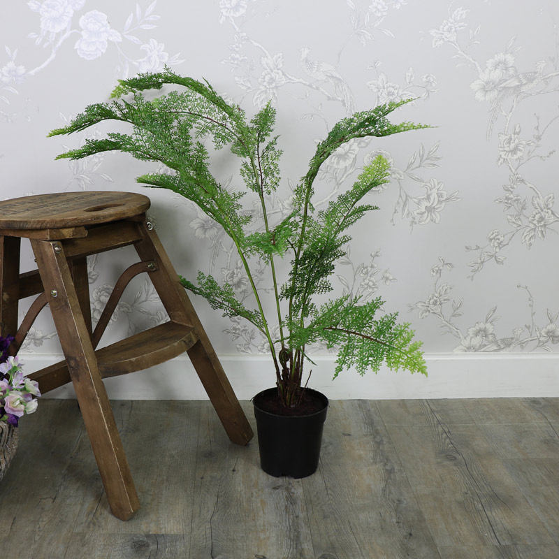 Tall Artificial Fern Bush in Black Plant Pot