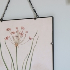 Botanical Framed Floral Print