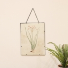 Set of 3 Botanical Floral Hanging Wall Prints 
