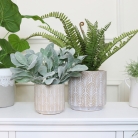 Small Embossed Leaf Patterned Indoor Plant Pot 