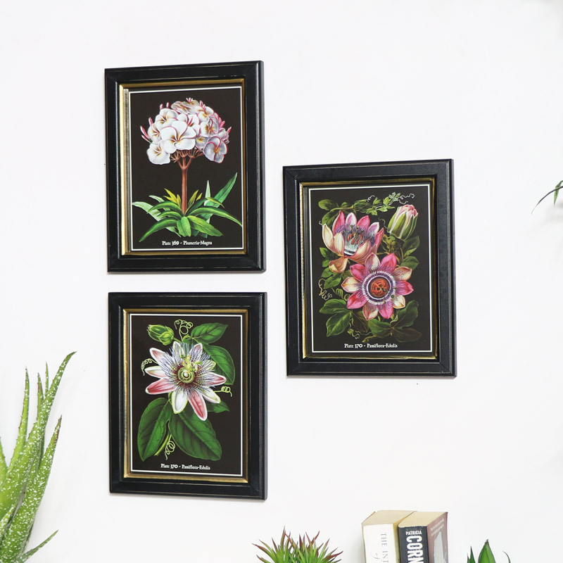 Set Of 3 Botanical Wall Prints - Botanical Wall Art Set Of 3 Set Of 3 Botanical Wall Prints - Botanical Wall Art Set Of 3