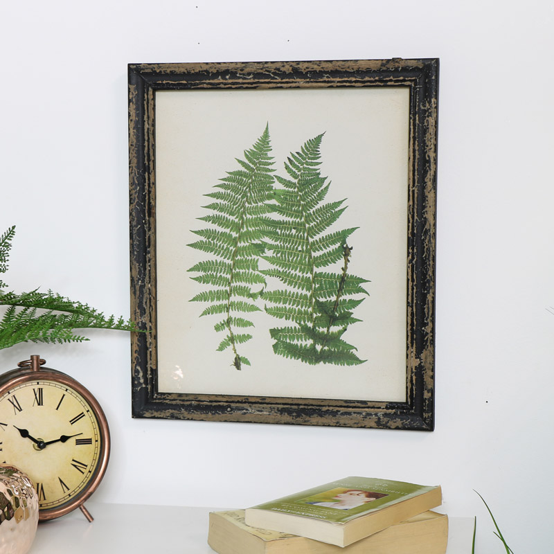 Framed Botanical Fern Print