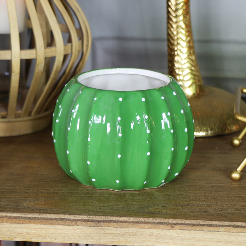 Green Cactus Plant Pot