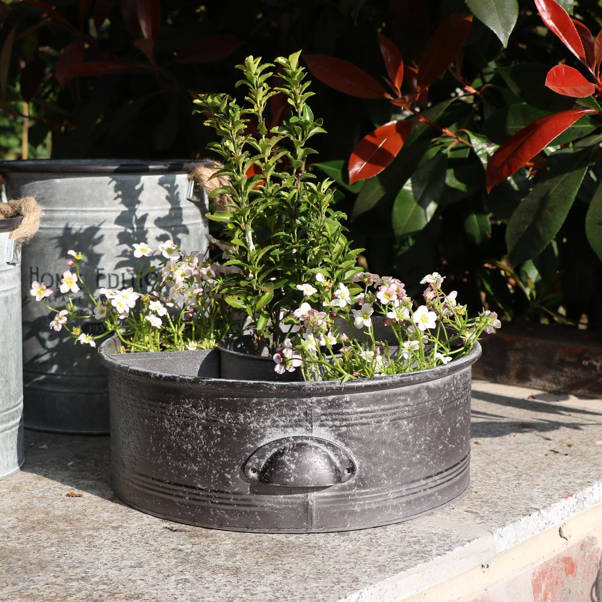 Large Grey Round Alpine Herb Planter Pot