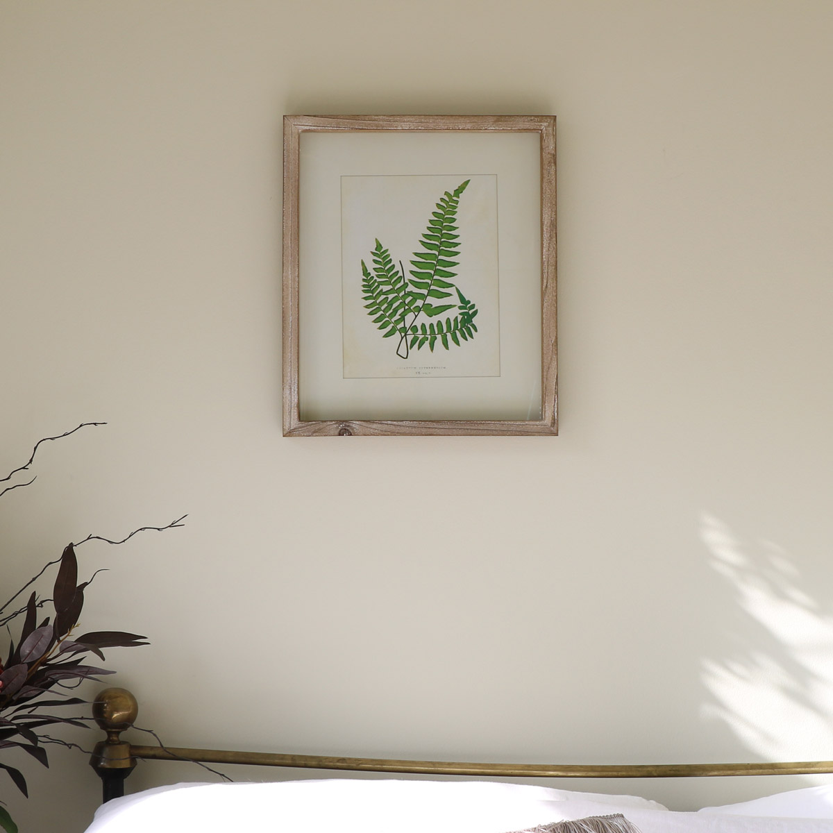 Natural wood framed print - Fern 