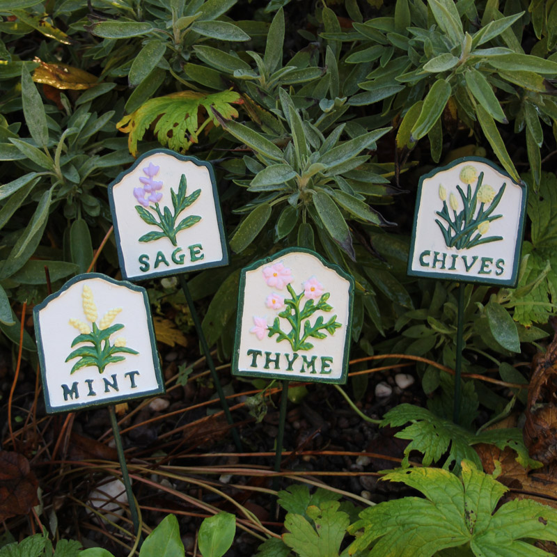 Set of Four Herb Plants Spike Signs