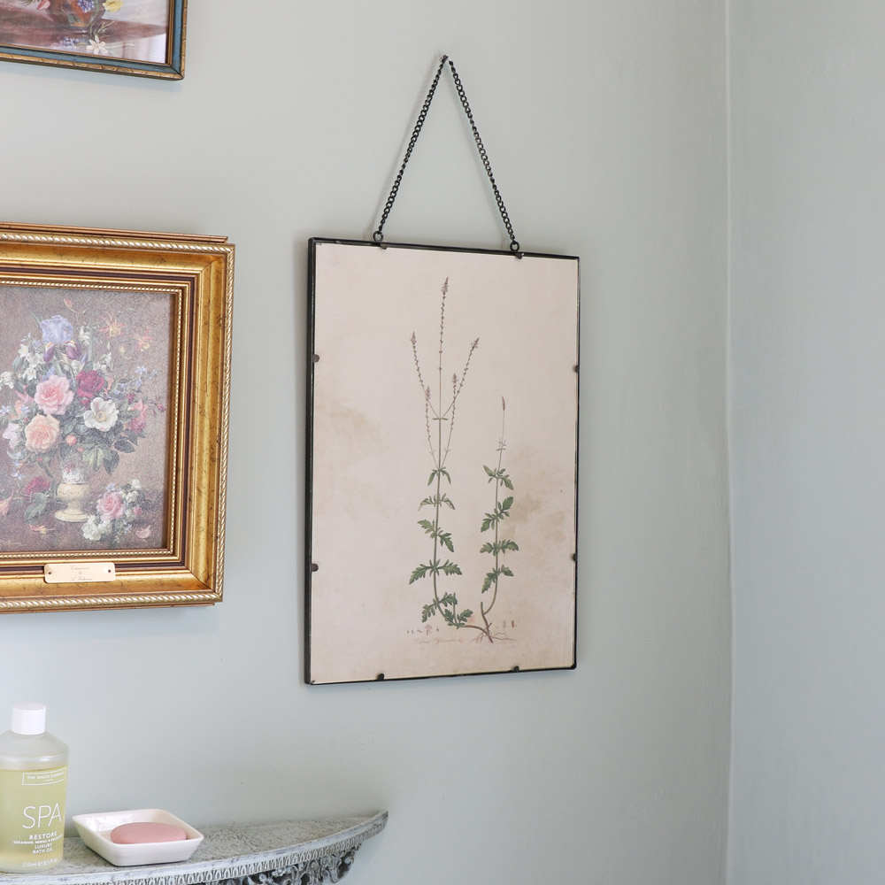 Vintage Botanical Wall Picture