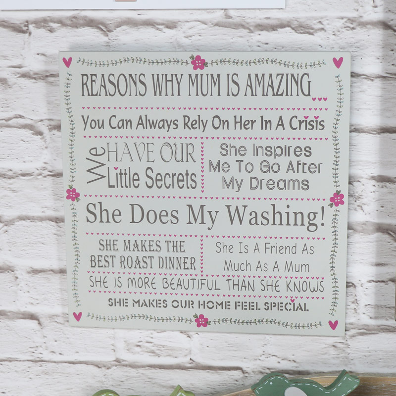 Wall Plaque 'Reasons Why Mum is amazing'