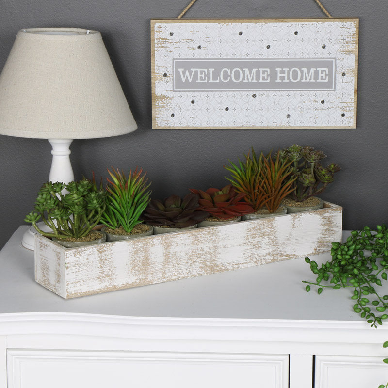 Wooden Window Tray with 6 Succulent Plants 