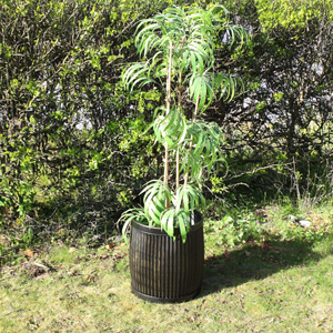 Large Round Distressed Black Planter