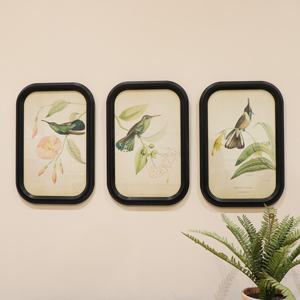 Set of 3 Botanical Bird Wall Prints