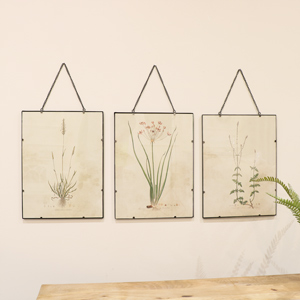 Set of 3 Botanical Floral Hanging Wall Prints 