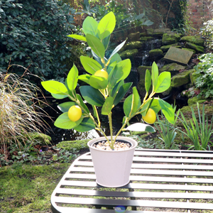 Small Artificial Citrus Zest Lemon Tree